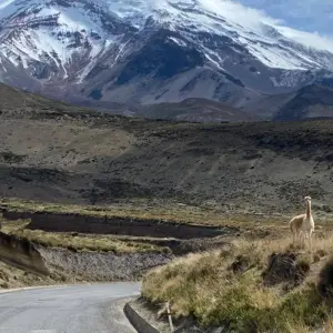 Explore Ecuador from Quito to Guayaquil with Amazon Region for 10 days with Ecuador Wonders and discover unforgettable experiences - Photo 7