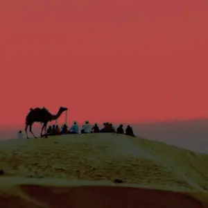 Explore Remarkable India's 6 day Golden triangle tour for 6 days with Edshil Tours  and discover unforgettable experiences - Photo 7