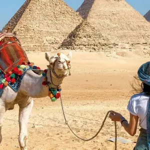 Explore King Ramses Tour - 7 Days (Cairo & 3 Nights Nile Cruise, Overnight Train Round Trip) for 7 days with Egypt Best Holidays  and discover unforgettable experiences - Photo 3