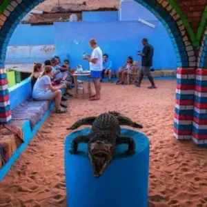 Explore Aswan: Private Tour to Philae Temple and Nubian Village By Boat & Entrance Fees for 1 days with Egypt Best Holidays  and discover unforgettable experiences - Photo 3