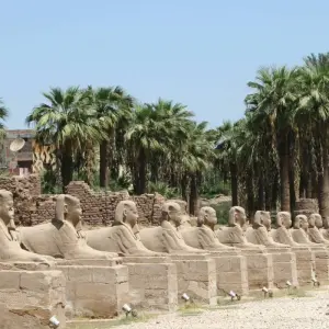 Explore Nile Odyssey: Luxor - Aswan -Abu Simbel - Hot Air balloon A5 days with tour guided for 5 days with Egypt Direct Tours and discover unforgettable experiences - Photo 3