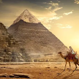 Explore Cairo, Luxor, Aswan, Abu Simbel 8 Days with guided tour - Domestic Flight for 8 days with Egypt Tour Pro  and discover unforgettable experiences - Photo 3