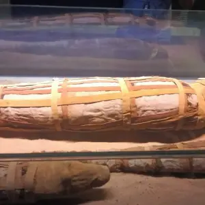 Explore Nile Cruise tour Aswan- Luxor with sightseeing and guided tours for 4 days with Egypt Tour Pro  and discover unforgettable experiences - Photo 3