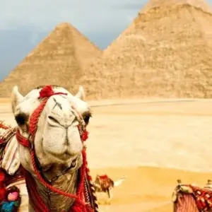 Explore 10 Days Egypt Tour Package Cairo, Luxor, Aswan & Red Sea Hurghada for 10 days with Egypt Tour Pro  and discover unforgettable experiences - Photo 10