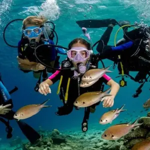 Explore Sharm El Sheikh: Intro-Diving at Ras Mohamed & White Island for 1 days with Egypt Tour Pro  and discover unforgettable experiences - Photo 5