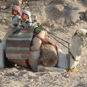 Explore Hurghada: Quad Safari, Camel Ride & Bedouin Village Tour for 1 days with Egypt Tour Pro  and discover unforgettable experiences - Photo 5