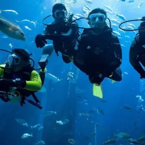 Explore Sharm El Sheikh: Intro-Diving at Ras Mohamed & White Island for 1 days with Egypt Tour Pro  and discover unforgettable experiences - Photo 9