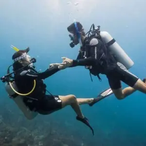 Explore Sharm El Sheikh: Intro-Diving at Ras Mohamed & White Island for 1 days with Egypt Tour Pro  and discover unforgettable experiences - Photo 10