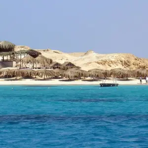 Explore Hurghada: Dolphin Watching Boat Tour with Snorkeling & Lunch for 1 days with Egypt Tour Pro  and discover unforgettable experiences - Photo 5