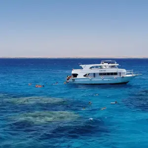 Explore Hurghada: Dolphin Watching Boat Tour with Snorkeling & Lunch for 1 days with Egypt Tour Pro  and discover unforgettable experiences - Photo 8