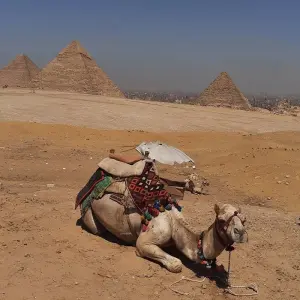 Explore Budget Egypt tour package for 4 Days and 3 Nights for 4 days with Egypt Tours Club and discover unforgettable experiences - Photo 4