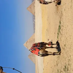 Explore Essential Egyptian sights in 6 days for 6 days with Egypt Tours Club and discover unforgettable experiences - Photo 6