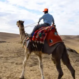 Explore Egypt Highlights package in 9 Days for 9 days with Egypt Tours Club and discover unforgettable experiences - Photo 11