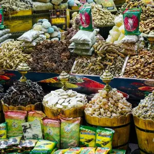 Explore Private Tour to Abu Simbel Temples and Nubian Village From Aswan for 1 days with Egypt Gift Tours and discover unforgettable experiences - Photo 9