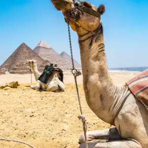 Explore 2 Days Private Guided Tours of Cairo and Giza with Free Cairo Airport Transfers for 2 days with Egypt Gift Tours and discover unforgettable experiences - Photo 10