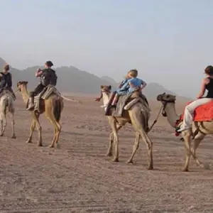 Explore Sunset Desert Quad Bike Safari with Camel Ride and Bedouin Dinner From Hurghada for 1 days with Egypt Gift Tours and discover unforgettable experiences - Photo 6