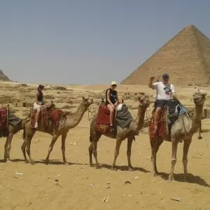 Explore Explore Egypt from Cairo: 14-Days 13-Nights Cairo, Alexandria, Nile Cruise and Red Sea for 14 days with Egypt Gift Tours and discover unforgettable experiences - Photo 10