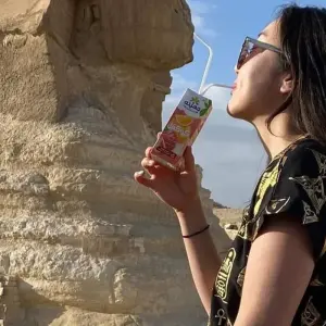 Explore Tour Package Cairo, Giza and Alexandria in 3 Days with Hotel, Airport Transfers and Lunch for 3 days with Egypt Gift Tours and discover unforgettable experiences - Photo 3