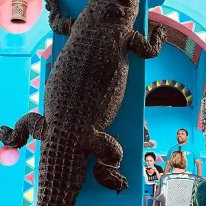 Explore Best 4-Nights Cruise Luxor To Aswan with Hot Air Balloon and Nubian Village including Flight Tickets from Cairo for 5 days with Egypt Gift Tours and discover unforgettable experiences - Photo 8