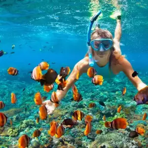 Explore Full Day Snorkeling Trip to the Red Sea in Safaga from Luxor for 1 days with Egypt Gift Tours and discover unforgettable experiences - Photo 2