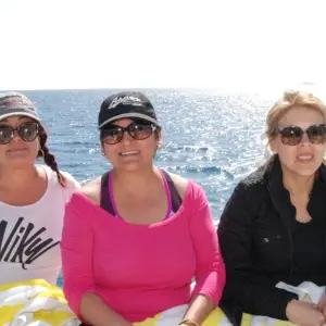 Explore Full Day Snorkeling Trip to the Red Sea in Safaga from Luxor for 1 days with Egypt Gift Tours and discover unforgettable experiences - Photo 7