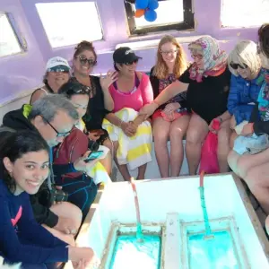 Explore Full Day Snorkeling Trip to the Red Sea in Safaga from Luxor for 1 days with Egypt Gift Tours and discover unforgettable experiences - Photo 9