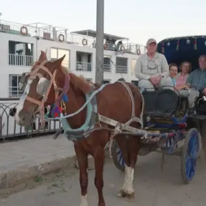 Explore Enjoy 2-nights Nile cruise from Aswan to Luxor for 3 days with Egypt cruise travel and discover unforgettable experiences - Photo 3