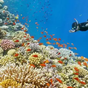 Explore Enjoy 6-nights, Cairo, Pyramids, Nile Cruise, Abu Simbel & Red Sea by flight for 7 days with Egypt cruise travel and discover unforgettable experiences - Photo 4