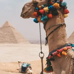 Explore "TUT Honey Moon Tour" 8 Days from Cairo (Cairo, Luxor Nile Cruise, Aswan, Abu Simbel, Hot Air Balloon & More....) for 8 days with Egyptology Travel and discover unforgettable experiences - Photo 9