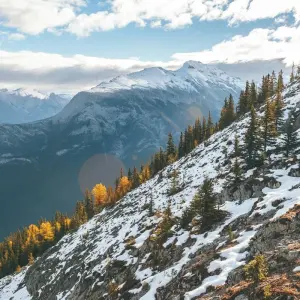 Explore Rockies Grandeur for 11 days with Emerald Cruises and discover unforgettable experiences - Photo 2
