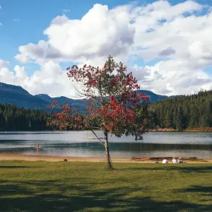 Explore Rockies Grandeur for 11 days with Emerald Cruises and discover unforgettable experiences - Photo 5