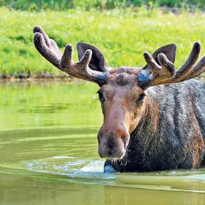 Explore Rockies Grandeur for 11 days with Emerald Cruises and discover unforgettable experiences - Photo 10