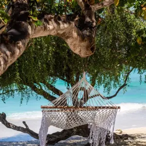 Explore Discover Eastern Caribbean & Grenadines 2025-2026 - 15 Days (from Bridgetown to Marigot) for 15 days with Emerald Cruises and discover unforgettable experiences - Photo 4