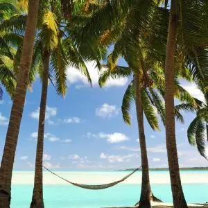 Explore Discover the Grenadines & Windwards islands for 14 days with Emerald Cruises and discover unforgettable experiences - Photo 6