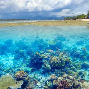 Explore Discover the Grenadines & Windwards islands for 14 days with Emerald Cruises and discover unforgettable experiences - Photo 7