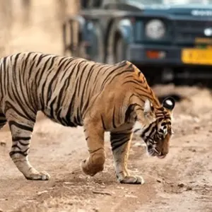 Explore Golden Triangle Tour with Ranthambore with 3 Star Hotels for 8 days with Emperor Holidays and discover unforgettable experiences - Photo 4
