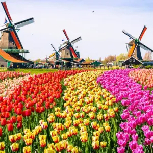 Explore Amsterdam & Jewels of the Rhine 2026 for 10 days with Emerald Cruises and discover unforgettable experiences - Photo 3