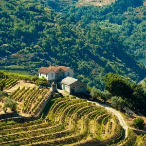 Explore Madrid to Lisbon & Secrets of the Douro 2026 for 14 days with Emerald Cruises and discover unforgettable experiences - Photo 8