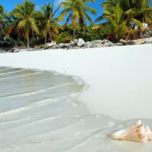 Explore Discover the Best of the Caribbean for 17 days with Emerald Cruises and discover unforgettable experiences - Photo 5