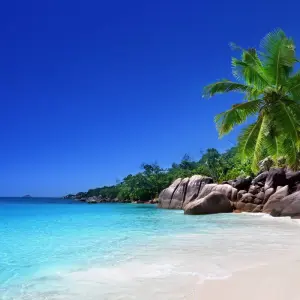 Explore Tropical Charms of the Seychelles for 8 days with Emerald Cruises and discover unforgettable experiences - Photo 5