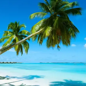 Explore Discover the hidden treasures of the Caribbean 2025-2026 - 22 Days (from Bridgetown to Marigot) for 22 days with Emerald Cruises and discover unforgettable experiences - Photo 7