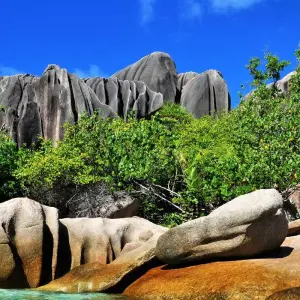Explore Tropical Charms of the Seychelles for 8 days with Emerald Cruises and discover unforgettable experiences - Photo 11