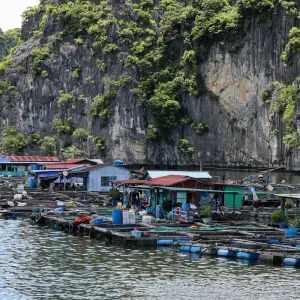 Explore Grand Tour of Indochina 2025-2026 for 24 days with Emerald Cruises and discover unforgettable experiences - Photo 10