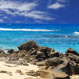 Explore Seychelles Island hopping for 10 days with Emerald Cruises and discover unforgettable experiences - Photo 10