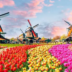 Explore Jewels of the Rhine 2026 - 8 Days (from Zurich to Amsterdam) for 8 days with Emerald Cruises and discover unforgettable experiences - Photo 9
