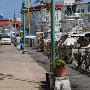 Explore Discover the Pearls of the Caribbean 2026 for 15 days with Emerald Cruises and discover unforgettable experiences - Photo 6