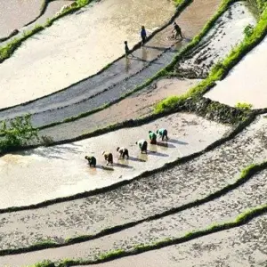 Explore Bhutan Encounters for 8 days with Encounters Travel and discover unforgettable experiences - Photo 5