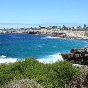 Explore The Garden Route 10 Days for 10 days with Encounters Travel and discover unforgettable experiences - Photo 4