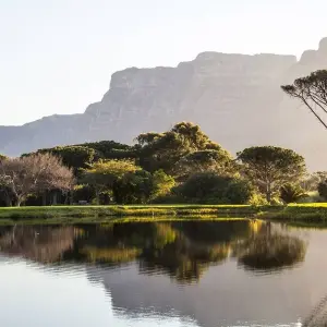 Explore The Garden Route 10 Days for 10 days with Encounters Travel and discover unforgettable experiences - Photo 5