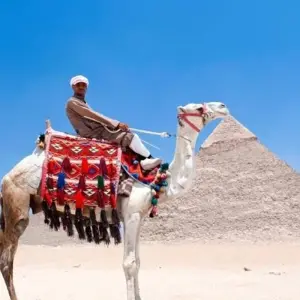 Explore Discover Egypt for 10 days with Encounters Travel and discover unforgettable experiences - Photo 9